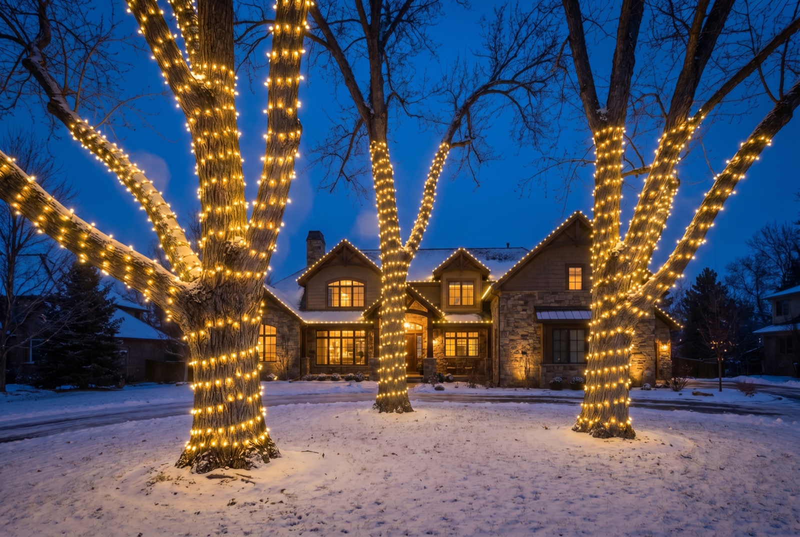 Large Denver front-yard trees wrapped trunk to limb in warm-white C9 lights on a snowy night